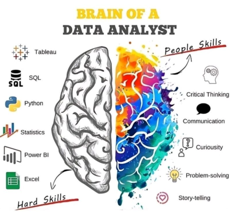 The Zen of Data Analysis Blog - Brain of Data Analyst